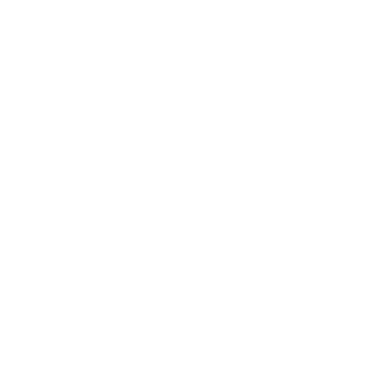 Bank Audit