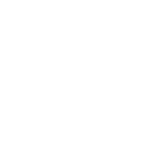 vision-icon-2