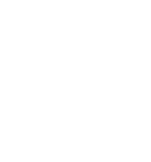 vision-icon-3