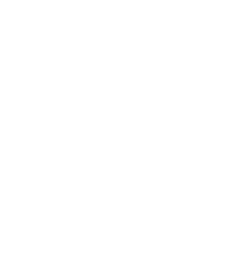 vision-icon-5